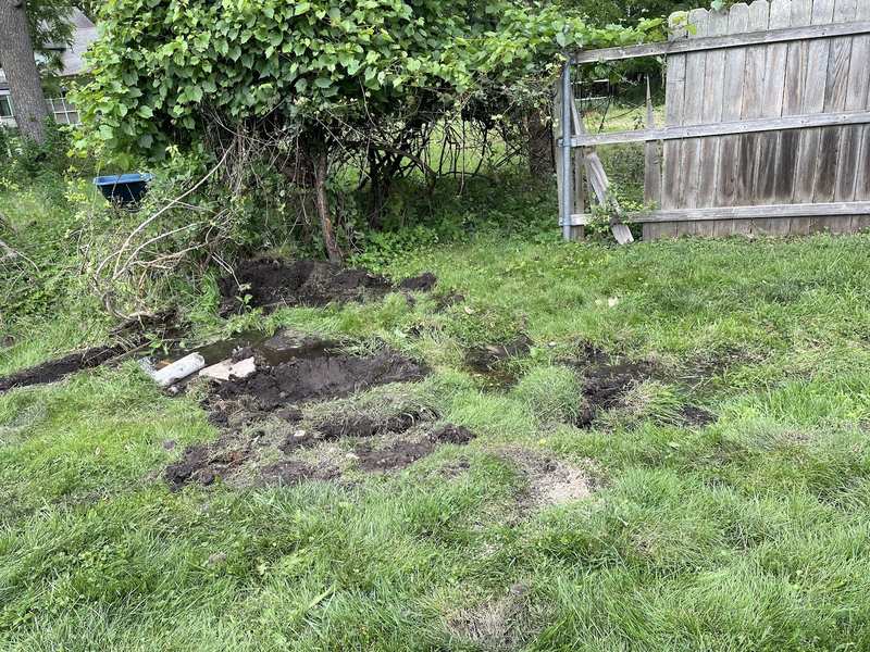 A large fallen tree and branches lie beside a wooden fence in a grassy backyard.
